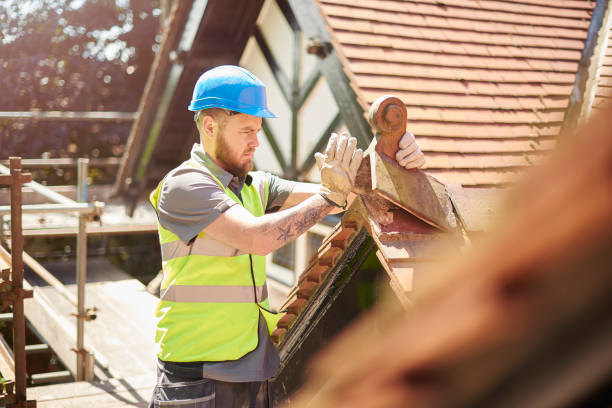 Best Roof Replacement Cost  in Darien, WI
