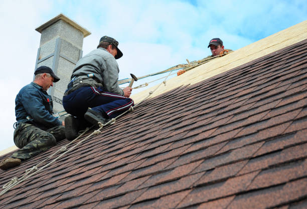 Best New Roof Installation  in Darien, WI