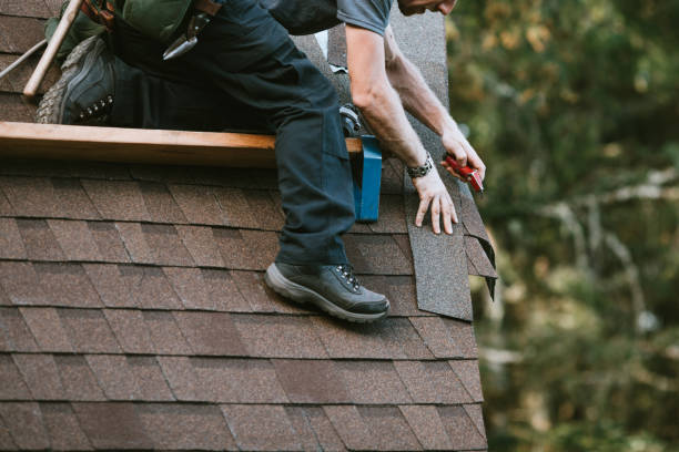Best Flat Roof Repair Services  in Darien, WI